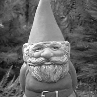 Wise Old Gnome